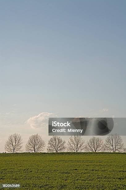 Photo libre de droit de Printemps Paysage Avec Des Arbres Horizon banque d'images et plus d'images libres de droit de Agriculture - Agriculture, Arbre, Aride