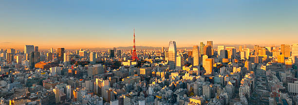 Aerial Panoramic View of Tokyo at Sunrise (XXXL)