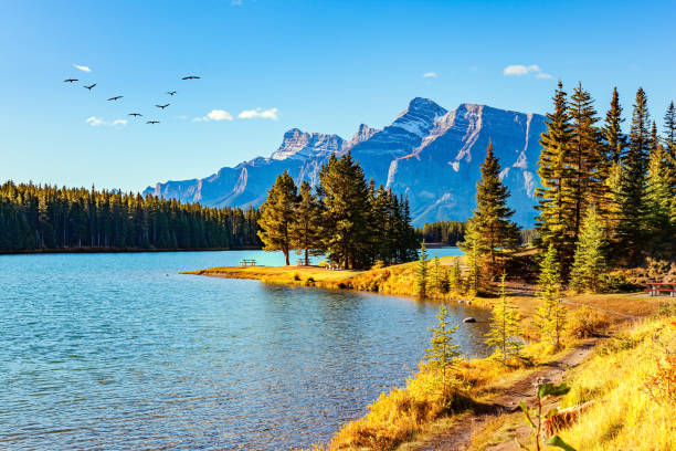 Canada. stock photo