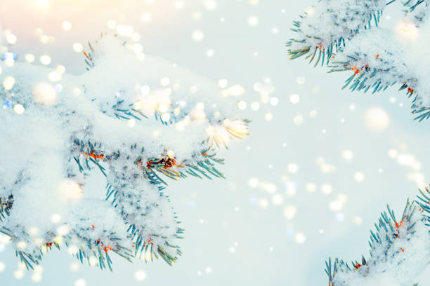 istock Coniferous spruce branch. Frozen winter forest with snow covered trees. 1820486652