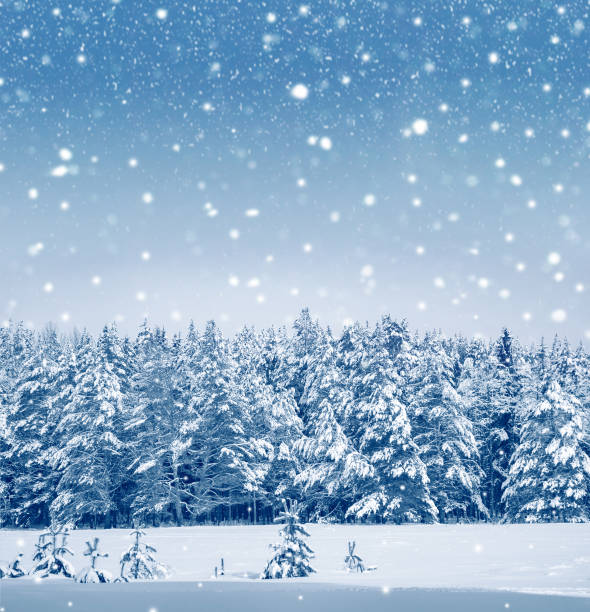 istock Landscape. Frozen winter forest with snow covered trees. 1820487188
