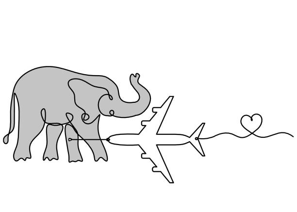 Silhouette of color abstract elephant with plane as line drawing Silhouette of color abstract elephant with plane as line drawing on white ganesha outline drawing stock illustrations