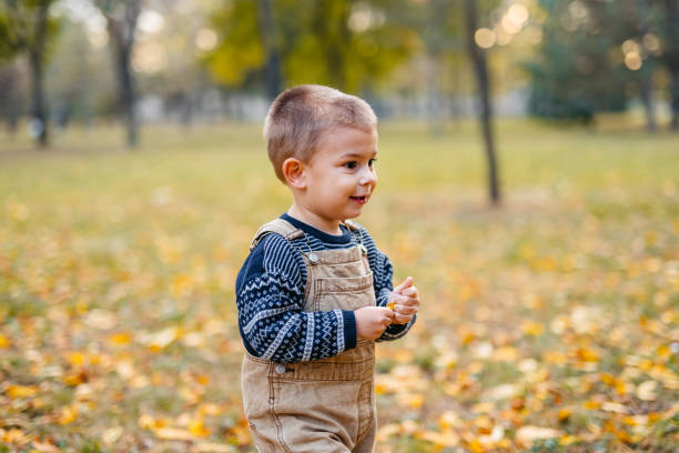 istock Little Boy In The Park In Autumn 1820501249
