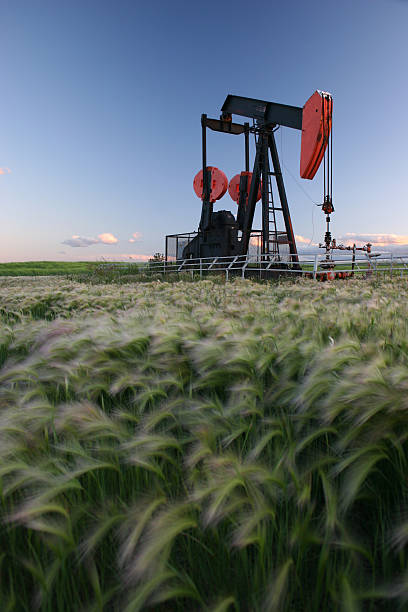 油井 - oil industry vertical agriculture ストックフォトと画像