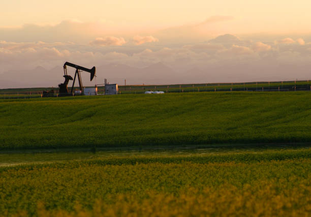 plataforma petrolífera en el campo de hierba y el cielo nublado - southern alberta fotografías e imágenes de stock