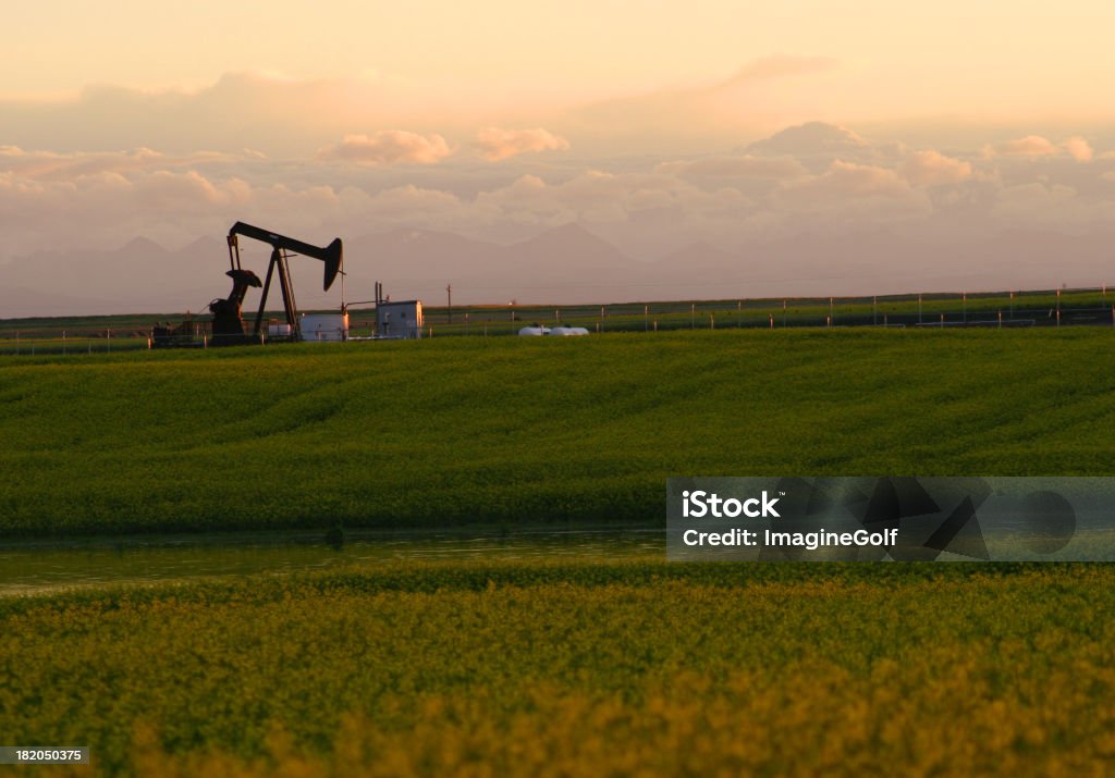 Plataforma Petrolífera em um campo de grama com um céu nublado - Foto de stock de Leste royalty-free