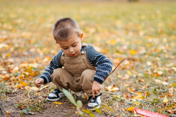 istock Little Boy Playing In The Park In Autumn 1820504495