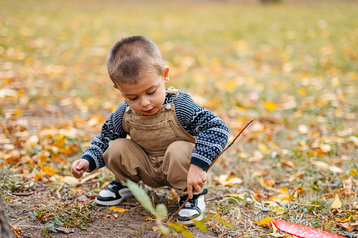 Cute little boy playing in the park in autumn.