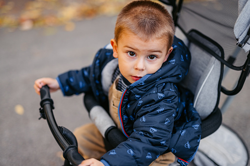 Portrait of a cute little boy in the stroller in the park in autumn.