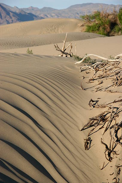 Sand Dunes with Shadows stock photo