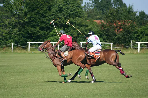 Two polo player