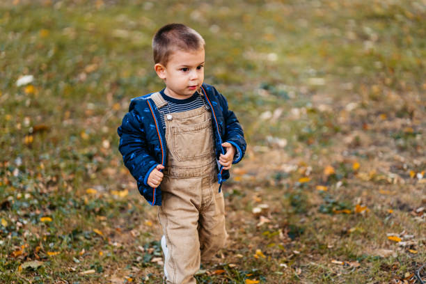istock Little Boy In The Park In Autumn 1820509850