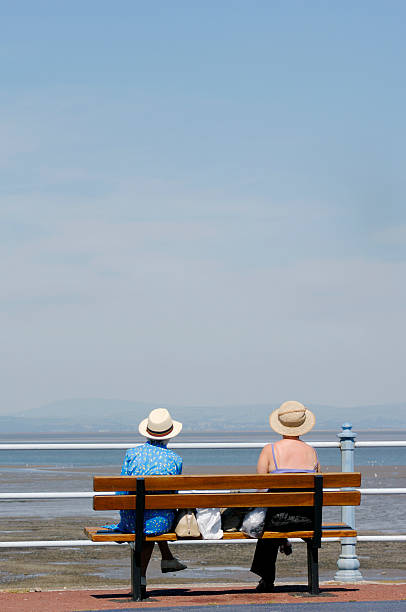 istock Retired ladies sitting on bench enjoying sea views 182051003