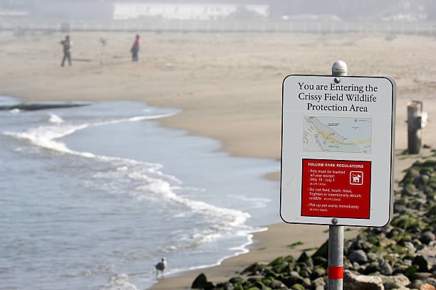 istock Crissy Field in San Francisco, California 182051101