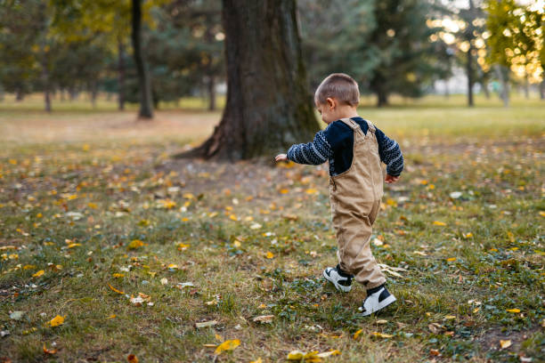 istock Little Boy Playing In The Park In Autumn 1820513665
