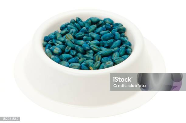 Dog Bowl With Blue Spray Painted Dog Food Stock Photo - Download Image Now - Rat, Poisonous, Incentive