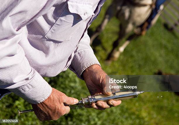 Big Seringa - Fotografias de stock e mais imagens de Gado - Mamífero ungulado - Gado - Mamífero ungulado, Vacina, Afiado