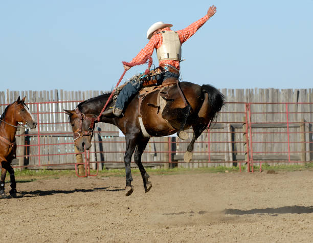 perfekte form - rodeo cowboy motion horse stock-fotos und bilder