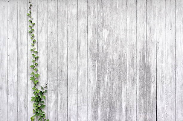 Fundo de parede em branco e vermelho - fotografia de stock