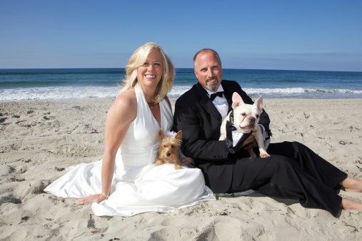 Happy Middle-Aged Bride and Groom at  Beach with Dogs