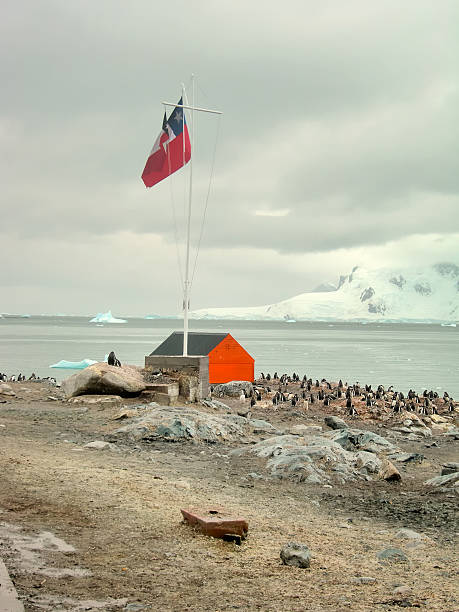 istock Chilean Research Station In Antarctica 182053359