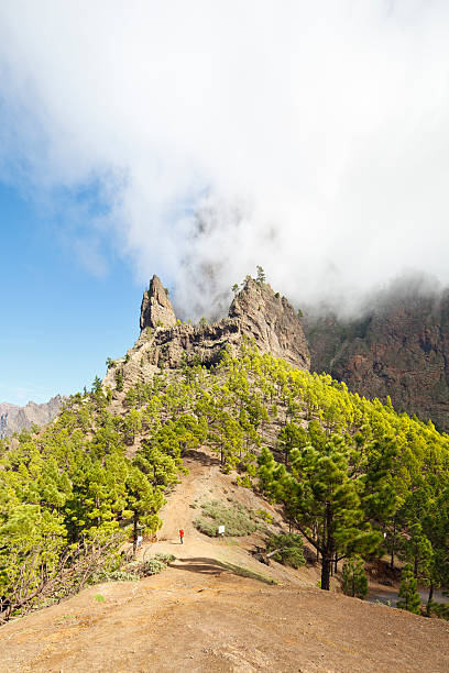 istock Cumbrecita, La Palma 182053587