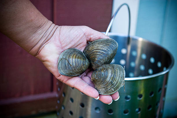 Holding raw seafood stock photo