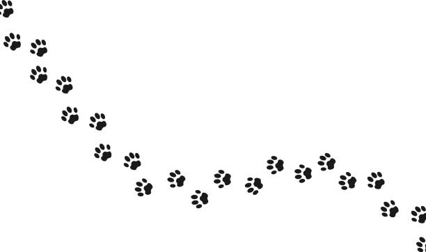 istock Footprints for pets, dog or cat. Isolated illustration on a white background. Vector illustration. 1820537693