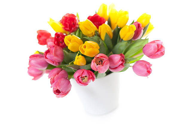 istock Bouquet of Tulips isolated on white background 182054098