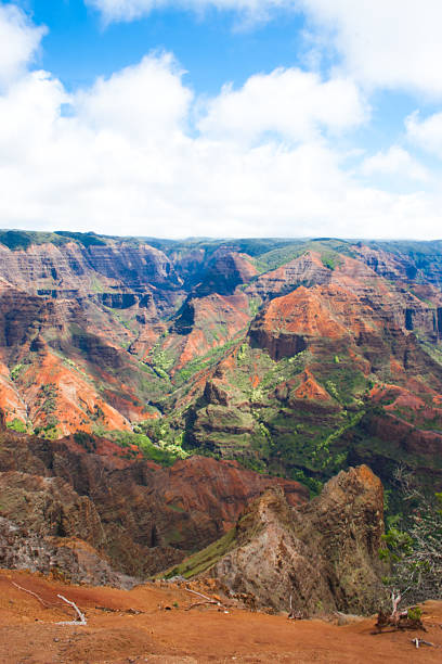 istock Waimea Canyon National Park 182054848