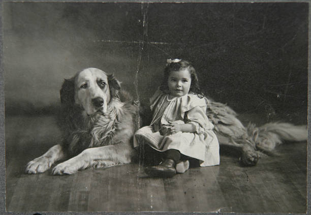 old portrait girl and dog stock photo