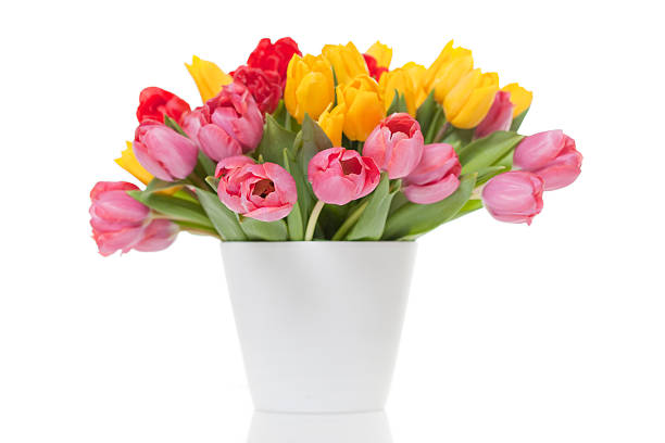 istock Beautiful Bouquet of Tulips 182055422
