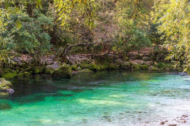 istock River at Bohinjsko lake in Slovenia 1820562843
