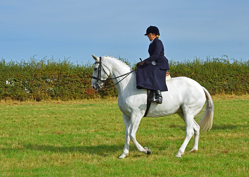 Great Gransden, Cambridgeshire, England - September 30, 2023: Woman riding white horse side saddle.