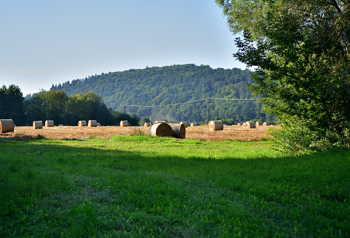 hay bale in provence