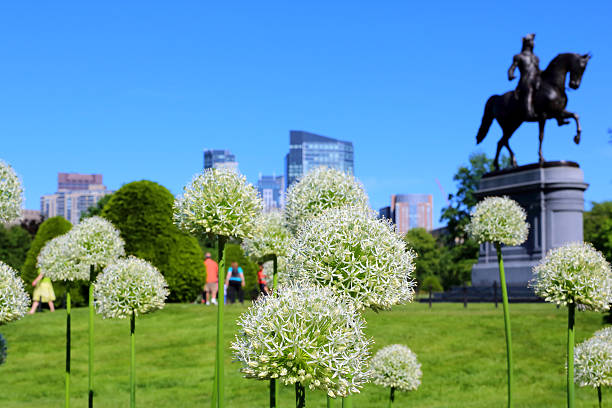 boston: el centro de la ciudad - boston skyline new england urban scene fotografías e imágenes de stock