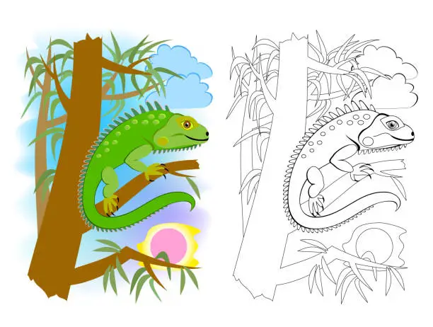 Vector illustration of Colorful and black and white page for kids coloring book. Illustration of cute green American lizard iguana. Printable worksheet for children school textbook. Online education. Flat cartoon vector.