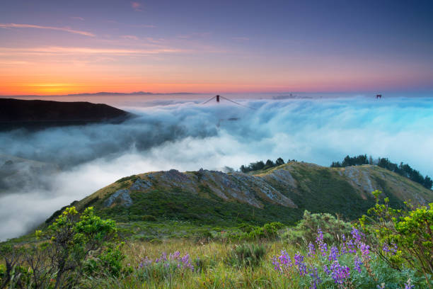 Marin Headlands e San Francisco Bay - fotografia de stock