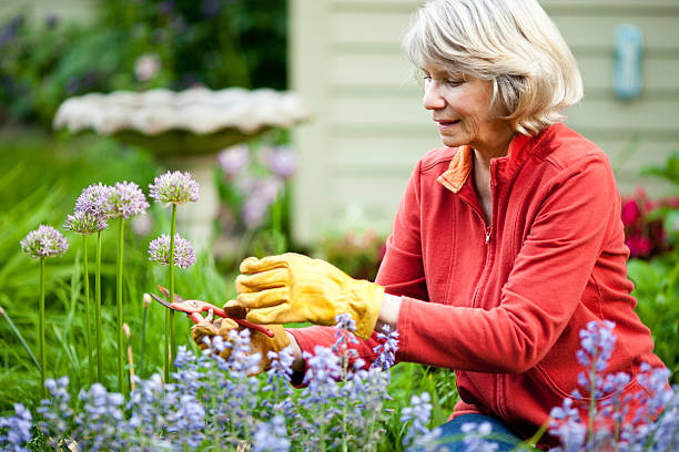 baby boomer donna - planting clothing gray hair human age foto e immagini stock