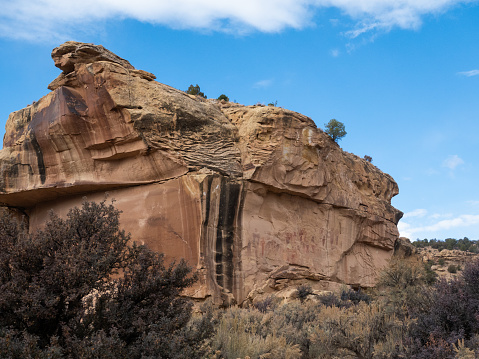 Large sandstone cliff with ancient Barrier type rock pictographs