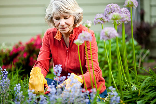 istock Baby Boomer woman 182058751