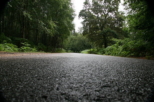 Country Road stock photo