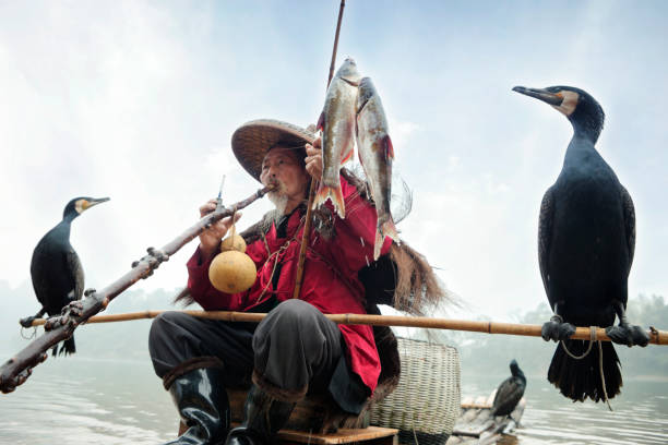 istock Chinese Fisherman With His Cormorants 182059180