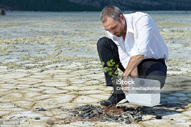 男性の木を植える - 農業のストックフォトや画像を多数ご用意 - 農業, 1人, じょうろ