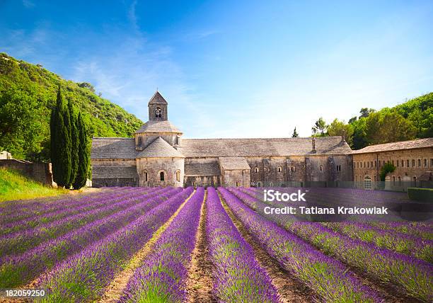 Senanque Abbey Stock Photo - Download Image Now - Provence-Alpes-Cote d'Azur, France, Lavender - Plant