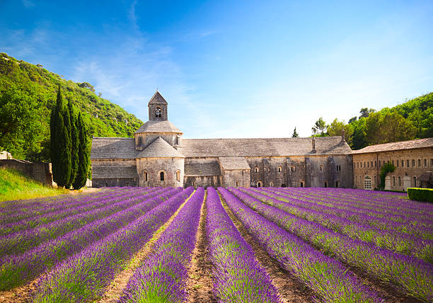 abadia de senanques (provence, frança) - lavender field - fotografias e filmes do acervo