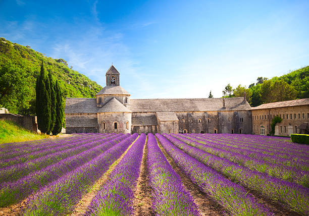 abadia de senanques (provence, frança) - lavanda - fotografias e filmes do acervo