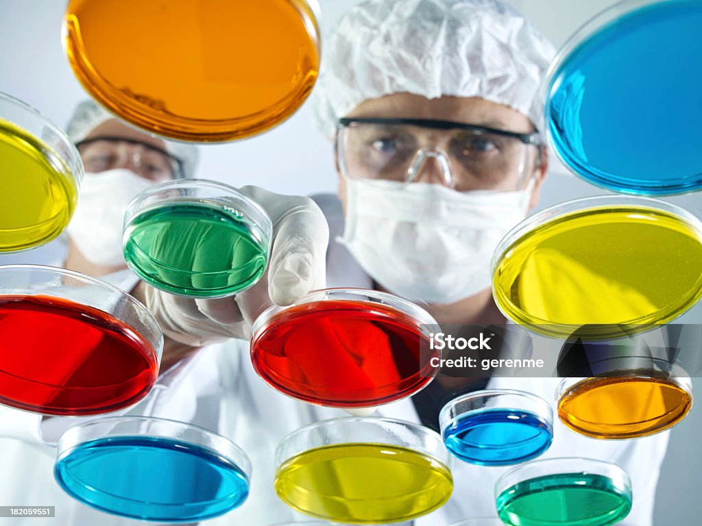 Maschio scienziato al lavoro con piatti Petri - Foto stock royalty-free di Lavoro di squadra