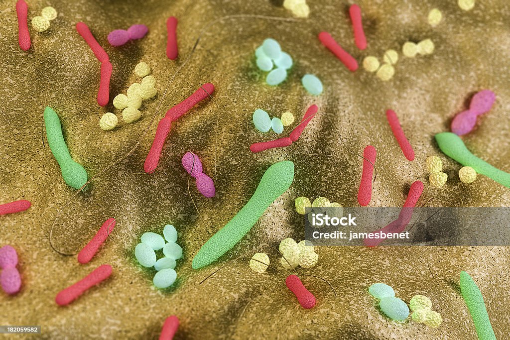 Bacterias intestinales (3D - Foto de stock de Bacteria libre de derechos