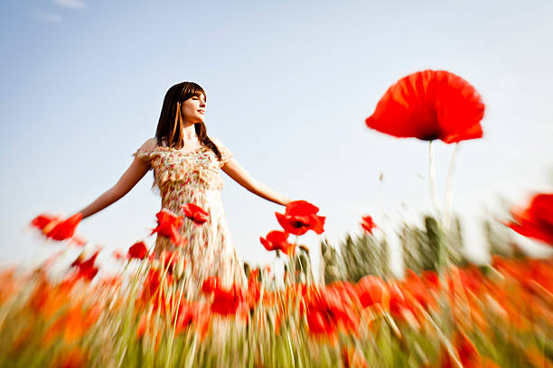istock Beauty in poppy field at sunset 182060145